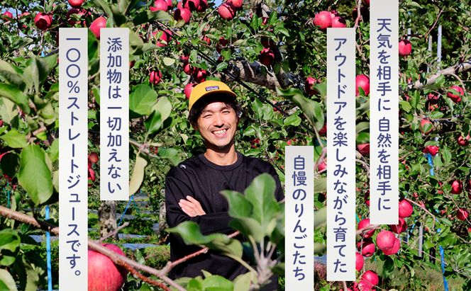 りんごジュース 西樹園 無添加 ストレートりんごジュース 1L×2本 青森県 鰺ヶ沢町 青森りんご ブレンド ジュース