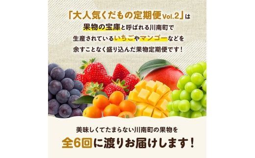 ※期間限定※【6ヶ月定期便】大人気くだもの定期便Vol.2【 川南町産 くだもの いちご イチゴ きんかん マンゴー シャインマスカット ピオーネ  】[C11713t6]