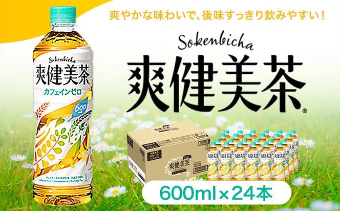 爽健美茶 600ml×24本 コカ・コーラボトラーズジャパン 《30日以内に出荷予定(土日祝除く)》 和歌山県 紀の川市 お茶 茶 ハトムギ 玄米 月見草---wsk_coc4_30d_25_15500_24h---