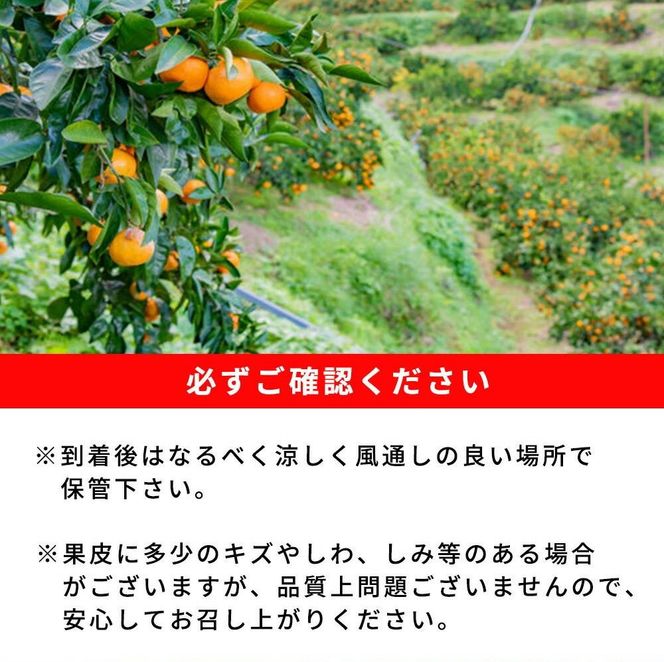 紀州和歌山有田産ゆら早生みかん　10kg［2026年発送］［UT33w］	AN010  