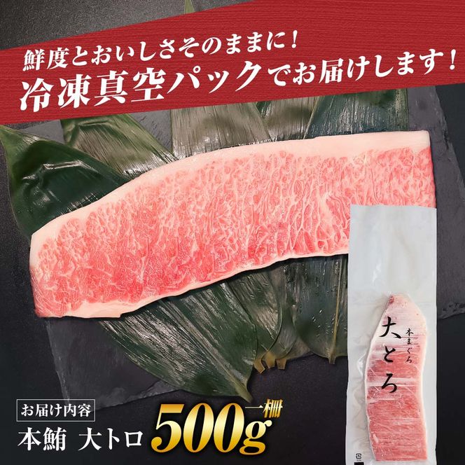 本マグロ 本鮪 大トロ500g トロ マグロ まぐろ 本まぐろ 刺身 刺し身 魚 天然 冷凍 美味しい おいしい 故郷納税 ふるさとのうぜい 返礼品 高知県 高知【株式会社大熊】 [BQAA035]