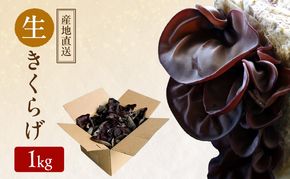 【 産地直送 】 有機JAS 生きくらげ 1kg  オーガニック きくらげ 野菜 きのこ 岡山県 玉野市 栽培期間中化学肥料不使用 栽培期間中農薬不使用 野菜セット 