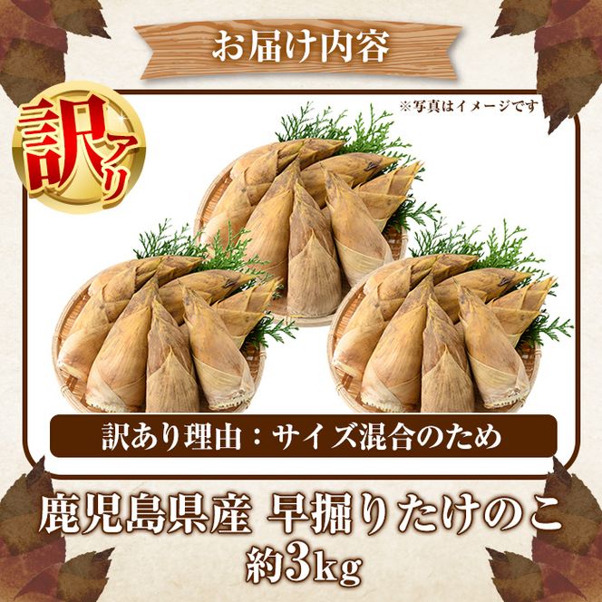 ＜先行予約受付中！2026年12月上旬以降順次発送予定＞訳あり！鹿児島県産 早掘りたけのこ(約3kg) 国産 野菜 たけのこ タケノコ 筍 旬 煮物 水煮 天ぷら つくだ煮【松永青果】akn053-34