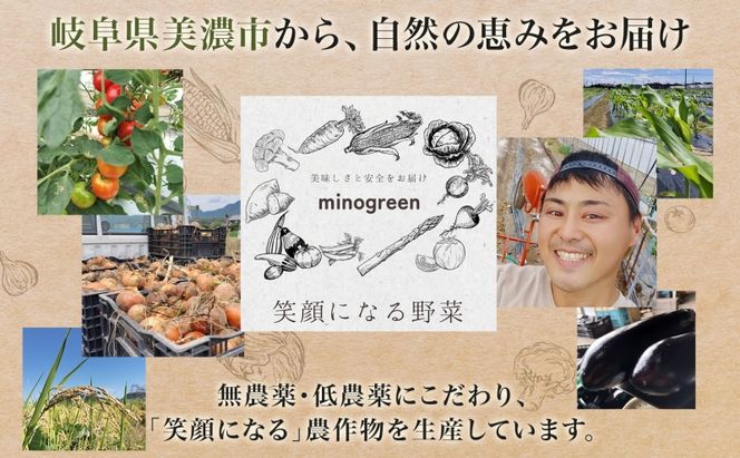 ＜先行予約＞令和8年産 はつしも 精米 20kg×1袋 低農薬 新米 お米 白米 米 ごはん 米 ご飯 ハツシモ R8年産 あっさり ブランド米 お取り寄せ 産地直送 送料無料 美濃グリーン 岐阜県 美濃市