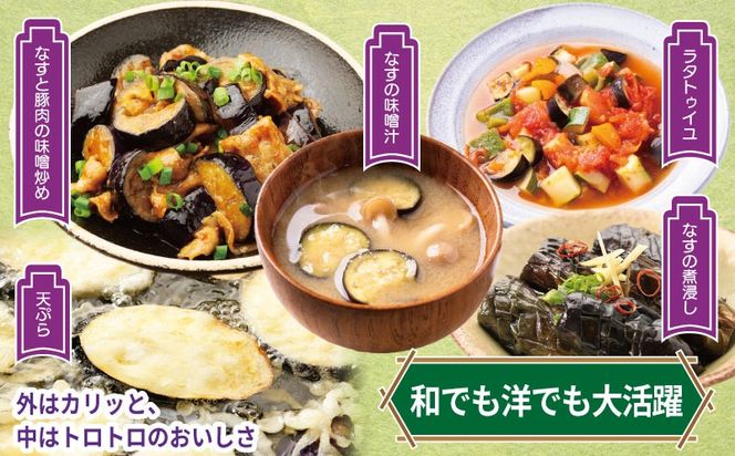 099H4539 【先行予約】朝採り直送 徳用水なす 15個 訳あり 規格外