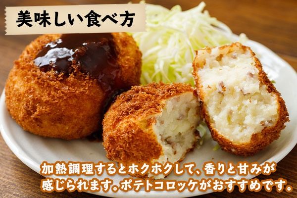 【CF】北海道 じゃがいも キタアカリ 10kg 北海道産 十勝産 きたあかり 北あかり ジャガイモ 芋 いも ポテト お取り寄せ まとめ買い 送料無料 十勝 士幌町【V04】