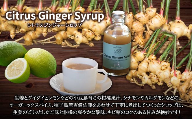 小豆島ジンジャー&ダイダイレモンシロップ3本セット