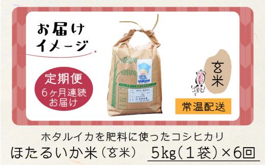 ほたるいか米（玄米５kg）×6回 計30kg【6ヶ月定期便】