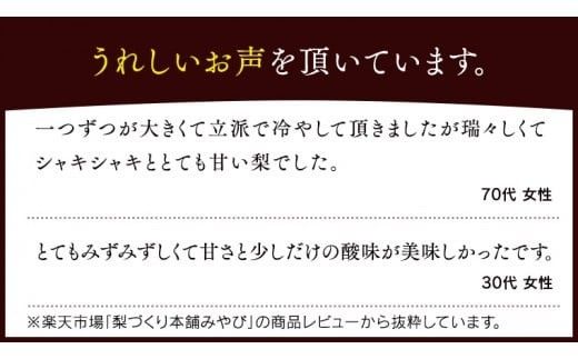 今一番人気 『 あきづき 』 5kg ( 自家用 ) 2026年産 先行予約 フルーツ 果物 国産 日本産 梨 ナシ なし 和梨 [DJ003ci]