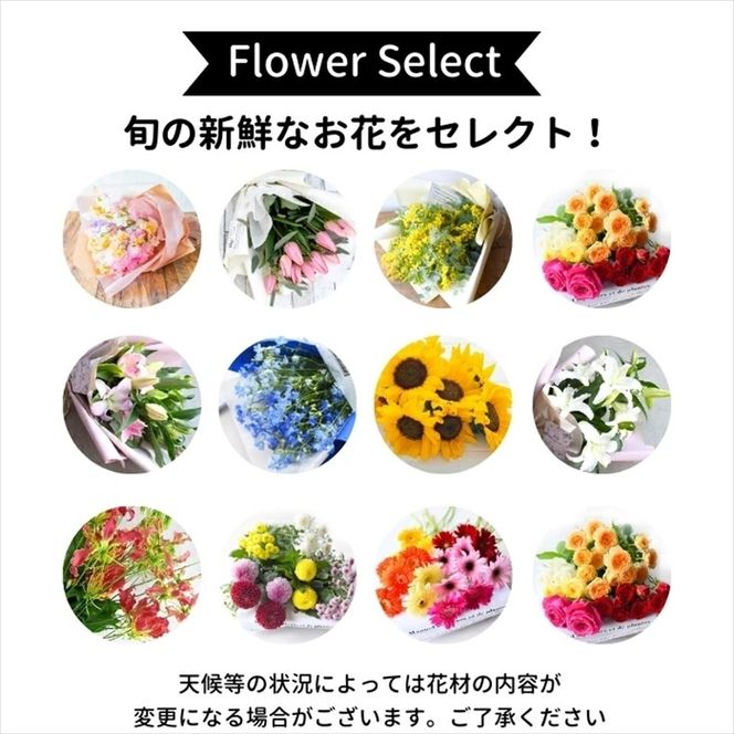 158-1043-129　【定期便】12か月 季節のお花 定期便（12か月）【季節　お花 一年間　毎月季節　切り花　ご自宅、職場　明るく華やか　お花パワー　季節のご挨拶に　お手入れ説明書　延命剤付　 大阪府 門真市 】