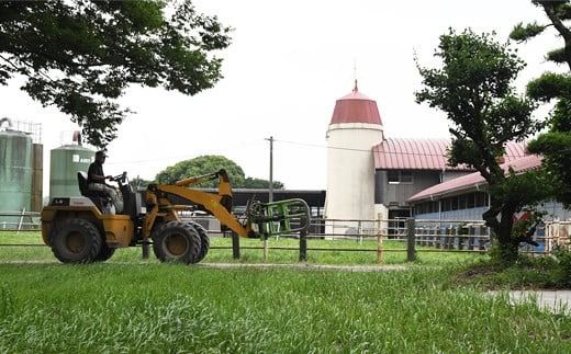永利牧場の牛乳 500ml×12本セット