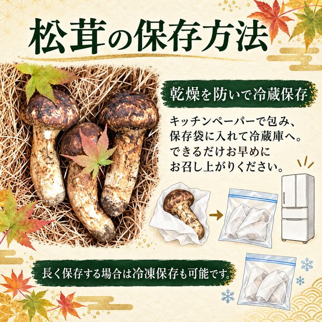 松茸 約300g 約2～4本 きのこ 野菜 国産 秋の味覚 冷蔵 冷蔵配送