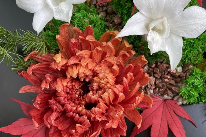 プリザーブドフラワー　紅詩（あかし）【埼玉県 春日部市 和風 装飾 贈り物 室内鑑賞 記念品 手仕事 美しい 彩り 長期間】（AJ268）