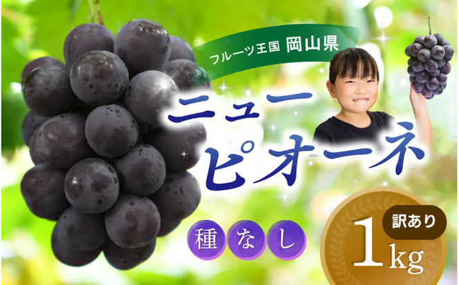 【2026年の先行予約です】 ぶどう 訳あり 花笑み農園の ニューピオーネ 1kg hana33. / ぶどう ブドウ 葡萄 岡山 ピオーネ 先行予約 フルーツ 果物 真庭市 【hana033-02】