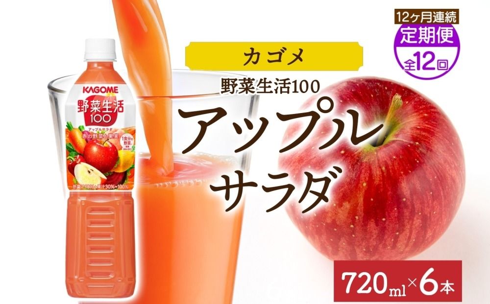 ns038-073 [定期便]12ヵ月連続野菜生活100 アップルサラダ 720mlPET