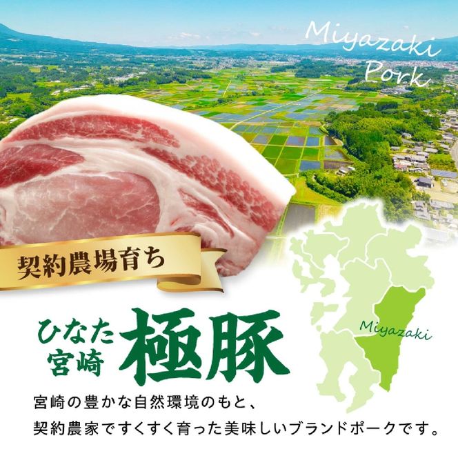 ひなた宮崎極豚ロース塊 500g×1P（豚肉 豚 ロース ブロック とんかつ トンテキ 生姜焼き）