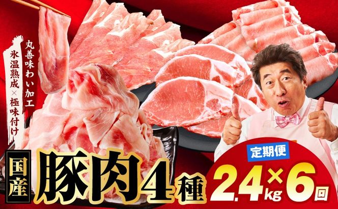 mrzZ025 国産豚肉 4種 定期便 2.4kg×6回【氷温熟成×極味付け 小分け 300gパック ぶたにく 普段使い 野菜炒め 切り落とし 毎月配送コース】
