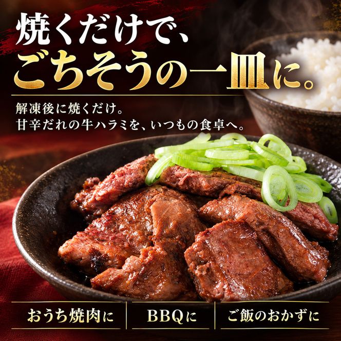 【訳あり】 タレ漬け 牛ハラミ 1.8kg 6P 肉 牛 牛肉 ハラミ 味付け タレ ハラミ肉 BBQ バーベキュー 焼き肉 焼肉 焼肉セット アウトドア キャンプ ギフト 真空 パック 小分け 300g 個包装 簡単 便利 冷凍 人気 京都 南丹市 神戸 ミートフーズ