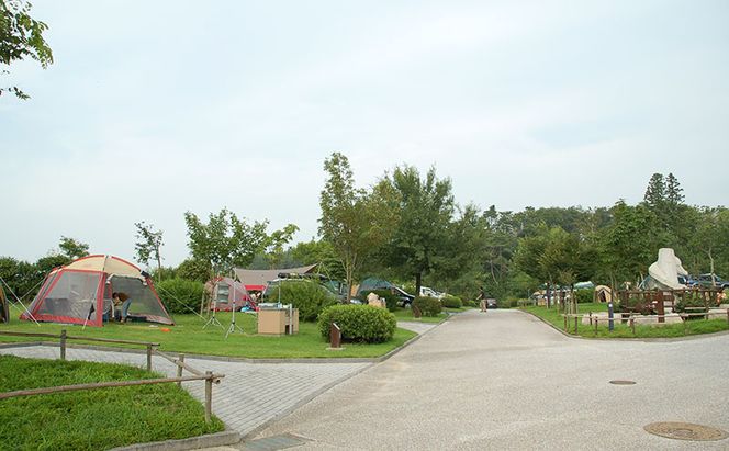 赤磐市 吉井竜天オートキャンプ場（ 区画型サイト 利用券 ） キャンプ アウトドア 旅行 キャンプ場 宿泊券 キャンプ場利用券