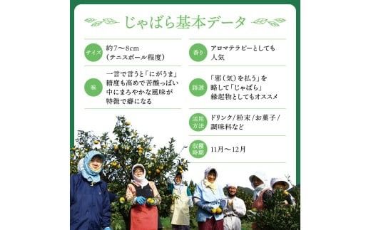 【ふるさと納税】北山村のじゃばら果汁飴×5袋セット（6倍濃縮果汁入）【njb551A】
