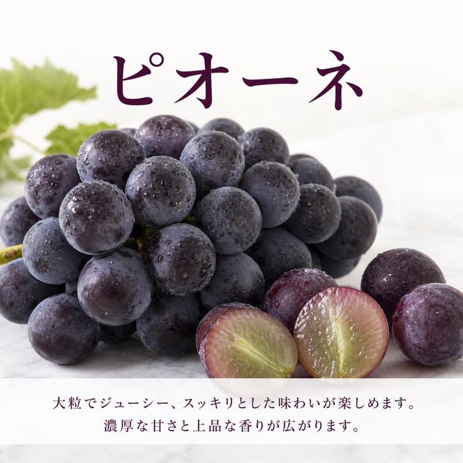 全3回 フルーツ定期便（桃7月、梨8月、ピオーネ9月発送）｜ 和歌山県産 モモ ナシ ぶどう 旬 果物