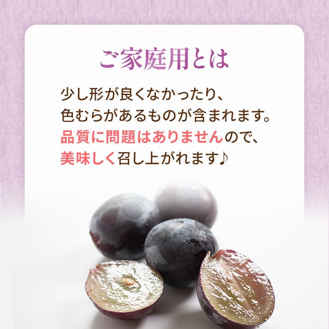 ぶどう 2026年 先行予約 ご家庭用 ニュー ピオーネ 3～6房 約2kg ブドウ 葡萄  岡山県産 国産 フルーツ 果物 巨峰 美しい 外観 大粒 高糖度 種なし 皮ごと 芳醇 酸味 美味しい 絶妙 バランス 大人気 