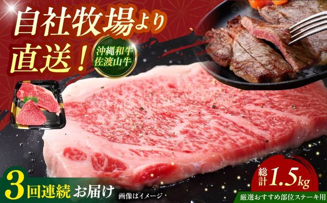 yꌧszyS3ցzyIIߕʁza nR Xe[L 500g Xe[L  a ē Ԑg s / ̃Tu[[BCBC005]