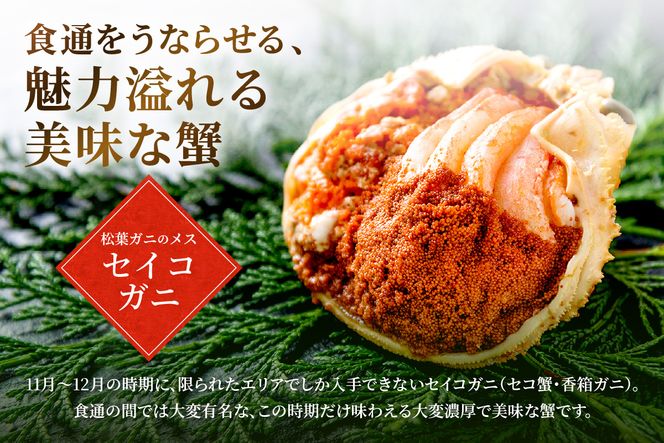 【蟹の匠 魚政】セイコガニの甲羅盛り　蟹の宝船(たからぶね)大サイズ3個セット 濃縮ダシ付（2026年1月～発送）　UO01246