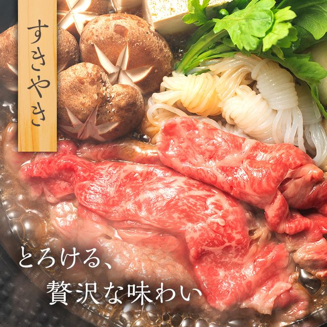 岐阜県海津市産 飛騨牛サーロイン すき焼き・しゃぶしゃぶ用500g 牛肉 お肉 