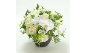 お供え　アレンジメント　Ｍサイズ| 花 アレンジメント 記念 サプライズ ギフト プレゼント 神奈川県 小田原市  142069_BN028