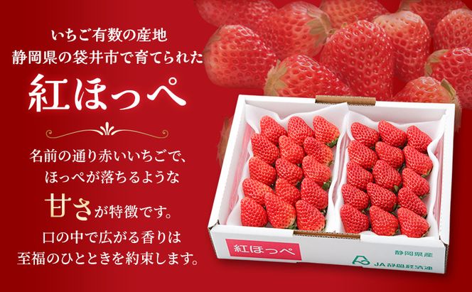 JA遠州中央 紅ほっぺ いちご 4パック 260g×4 遠中 静岡県 静岡 袋井市 袋井 イチゴ 苺 贈答 フルーツ 果物 くだもの 人気