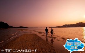「瀬戸・たかまつネットワーク」香川県　アート島めぐり（小豆島・豊島・直島方面）2日間 チケット ペア 旅行券 観光 旅行 