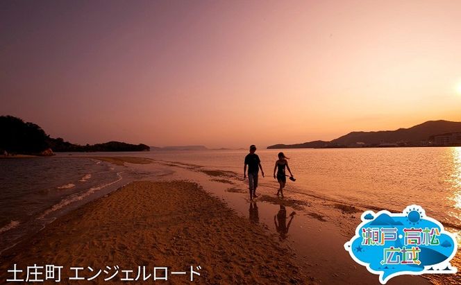 「瀬戸・たかまつネットワーク」香川県　アート島めぐり（小豆島・豊島・直島方面）2日間 チケット ペア 旅行券 観光 旅行 