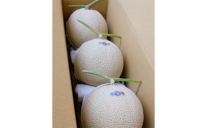 クラウンメロン【並（白等級）】特大玉（1.5kg前後）3玉入り 人気 厳選 ギフト 贈り物 デザート グルメ 果物 袋井市 果物類 メロン青肉 フルーツ
