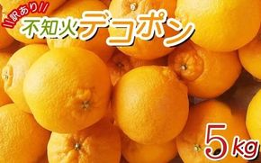 ＼光センサー選別／ 【訳あり】ちょこっと訳あり不知火デコポン 約5kg【ご家庭用】 先行予約 訳あり デコポン みかん ※2025年2月中旬より順次発送予定（お届け日指定不可）【nuk120D】