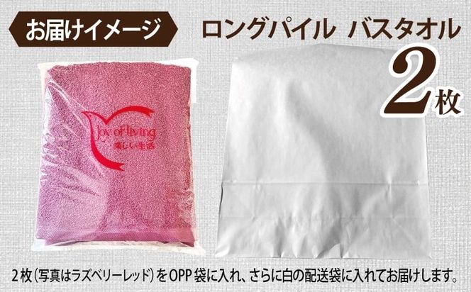 015B571 【スピード発送】ロングパイルバスタオル2枚セット(コカブラウン) 泉州タオル