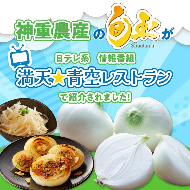 (2026年発送) ≪『満天☆青空レストラン』で紹介されました！≫ 【数量限定】訳あり 新玉ねぎ 生がおいしい 神重農産のブランド玉ねぎ「旬玉」2.5kg ブランド玉ねぎ 玉ねぎ 国産 愛知県産 野菜 やさい 農家直送 畑直送 旬 期間限定 たまねぎ 先行予約 旬 特産 高評価 高リピート 人気 H105-152