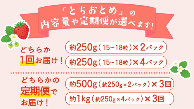＼選べる 内容量・発送方法／とちおとめ 約250g（15～18粒）2パック または 4パック 単品・定期便 3か月【2026年12月から発送開始】（茨城県共通返礼品 [いちご]：城里町産） 茨城県 県産 人気 厳選 果物 くだもの 旬 旬の果物 旬のフルーツ ギフト 贈答 いちご イチゴ 苺 とちおとめ