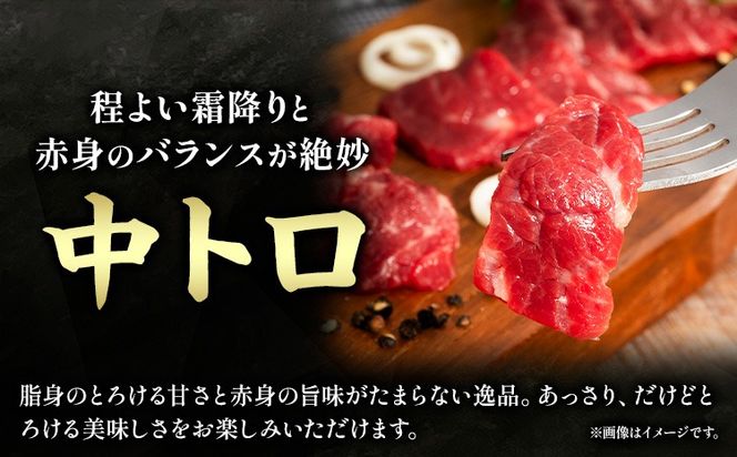 馬肉 ふじ 馬刺し バラエティー 詰合せ 約370g 道の駅竜北《60日以内に出荷予定(土日祝除く)》 熊本県 氷川町 肉 馬肉 トロ 中トロ チョーチン ユッケ バラヒモ イチボ ふじ馬刺し セット 食べ比べ---sh_fyebre_24_60d_40000_370g---