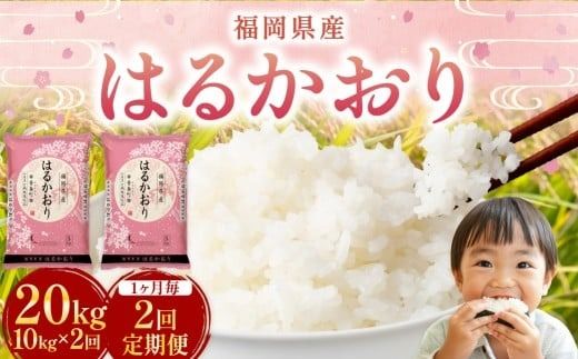 【1ヶ月毎2回定期便】 はるかおり 10kg 計20kg ／ 米 コメ お米 ライス ご飯 ごはん 飯 食品 精米 定期便 常温 福岡県 香春町
