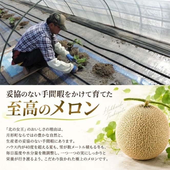 〈先行受付〉【2027年夏発送】北海道 赤肉メロン 北の女王 秀品 約1.6kg×1玉 令和9年 メロン 果物 フルーツ 旬 季節 希少 貴重 甘い 豊潤 国産 デザート ご褒美 産地直送 ギフト お祝い 贈答品 贈り物 お中元 常温 