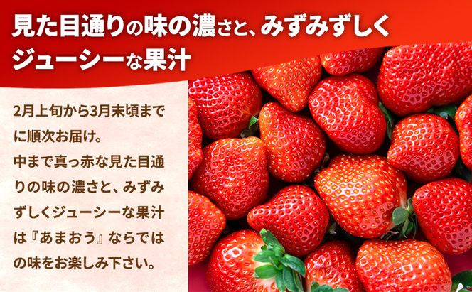 【春】福岡産あまおう6パック いちご  苺 イチゴ フルーツ 果物 ※配送不可:離島