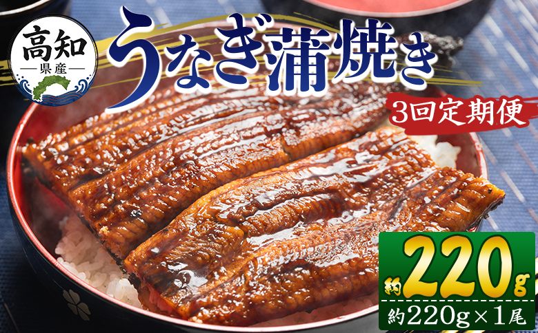うなぎ 定期便[3回定期便]高知県産うなぎ蒲焼き 約220g×1尾 養殖 魚介 国産 海鮮 魚 かばやき 鰻 ウナギ 惣菜 おかず お手軽 加工品 加工食品 冷凍 Wfb-0058