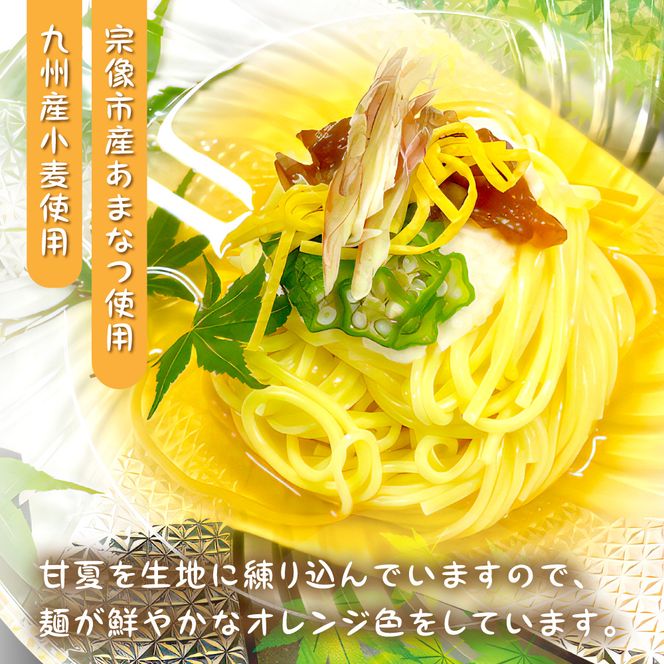 【道の駅むなかた】宗像市産甘夏そうめん 6袋セット_HA1826