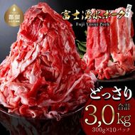 【9/1申し込みより冷凍発送！】訳あり！富士湧水ポークの切り落とし3.0kg　DM001_01