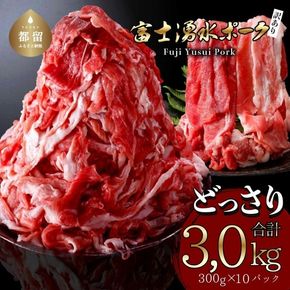 【9/1申し込みより冷凍発送！】訳あり！富士湧水ポークの切り落とし3.0kg　DM001_01