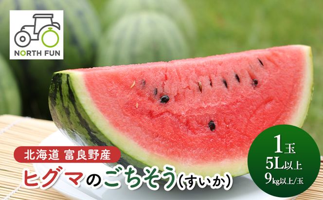 【2026年夏発送】富良野産 ヒグマのごちそう(すいか)[1玉 5L以上 9kg以上/玉] スイカ 果物