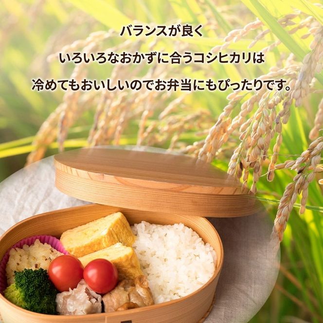 【先行予約】令和6年産米 精米5kg×2袋、計10kg　土浦市産コシヒカリ　ホタルが舞う里のお米　※離島への配送不可　※2024年9月上旬～2025年8月上旬頃より順次発送予定