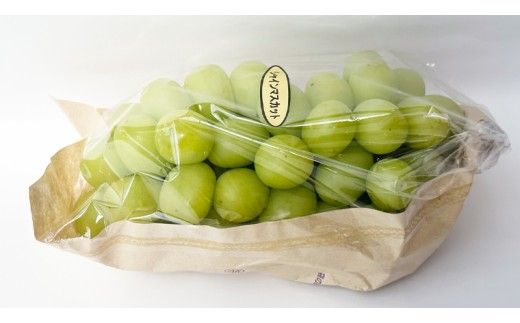 【 藤澤ブドウ園 】 こだわり の シャインマスカット 1房 約700g 2026年産 先行予約 ぶどう ブドウ 葡萄 フルーツ [AH005ci]
