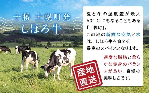 北海道 しほろ牛 切り落とし スライス 400g BBQ 焼肉 牛 赤身肉 国産牛 肉 ビーフ セット 国産 焼き肉 冷凍 詰合せ お取り寄せ 送料無料 十勝 士幌町【N21】